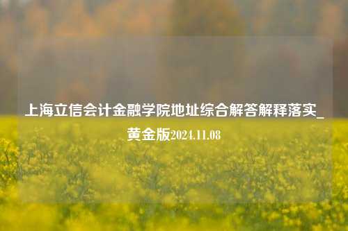 上海立信会计金融学院地址综合解答解释落实_黄金版2024.11.08