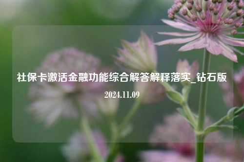 社保卡激活金融功能综合解答解释落实_钻石版2024.11.09