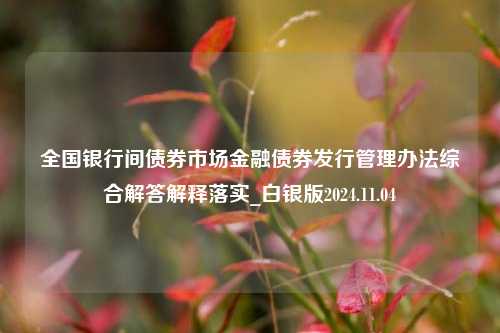 全国银行间债券市场金融债券发行管理办法综合解答解释落实_白银版2024.11.04