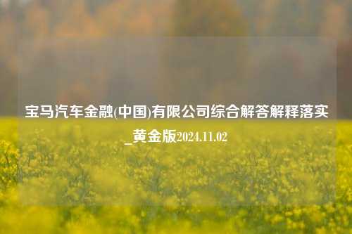 宝马汽车金融(中国)有限公司综合解答解释落实_黄金版2024.11.02