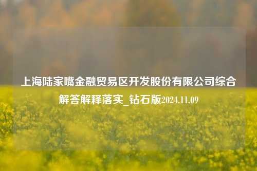 上海陆家嘴金融贸易区开发股份有限公司综合解答解释落实_钻石版2024.11.09