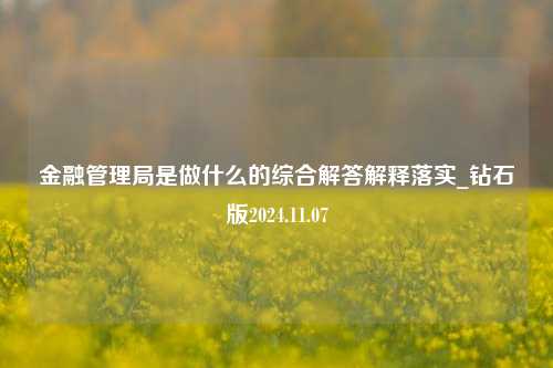 金融管理局是做什么的综合解答解释落实_钻石版2024.11.07