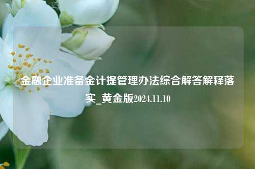 金融企业准备金计提管理办法综合解答解释落实_黄金版2024.11.10