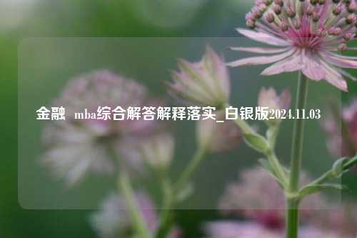 金融  mba综合解答解释落实_白银版2024.11.03