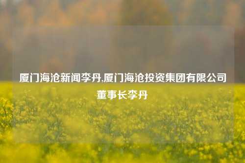 厦门海沧新闻李丹,厦门海沧投资集团有限公司董事长李丹