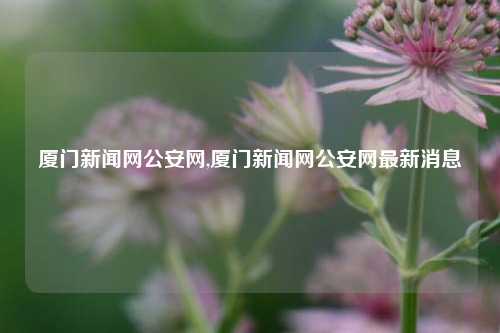 厦门新闻网公安网,厦门新闻网公安网最新消息