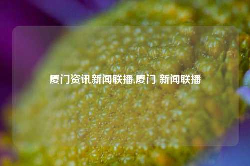 厦门资讯新闻联播,厦门 新闻联播