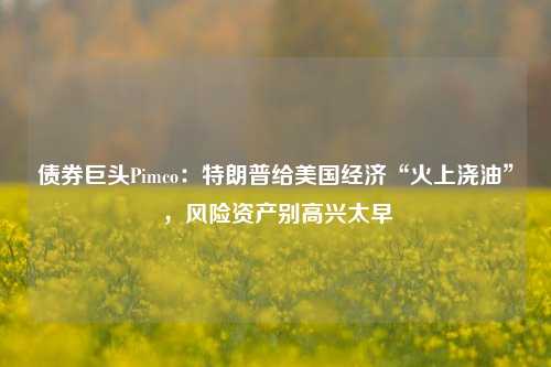 债券巨头Pimco：特朗普给美国经济“火上浇油”，风险资产别高兴太早