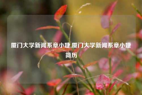 厦门大学新闻系章小婕,厦门大学新闻系章小婕简历