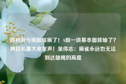 题材股亏损股涨疯了！A股一谈基本面就输了？两位私募大佬发声！吴伟志：麻雀永远也无法到达雄鹰的高度