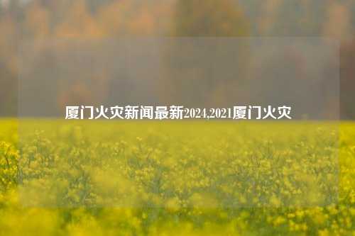 厦门火灾新闻最新2024,2021厦门火灾