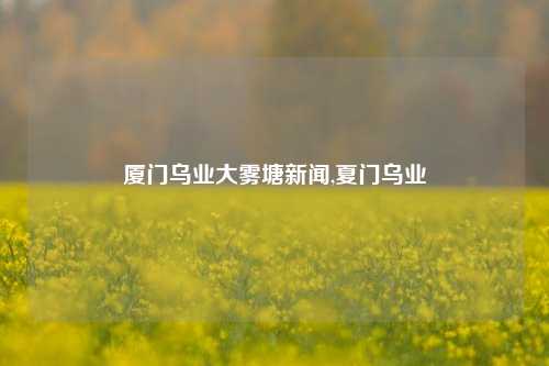 厦门乌业大雾塘新闻,夏门乌业