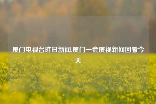 厦门电视台昨日新闻,厦门一套厦视新闻回看今天