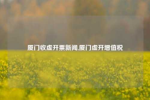 厦门收虚开票新闻,厦门虚开增值税