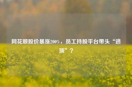 同花顺股价暴涨200%，员工持股平台带头“逃顶”？