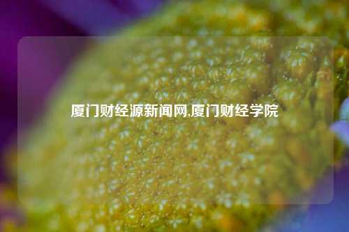 厦门财经源新闻网,厦门财经学院