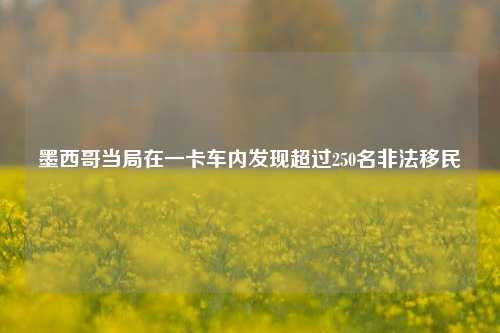 墨西哥当局在一卡车内发现超过250名非法移民