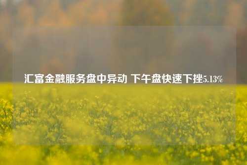 汇富金融服务盘中异动 下午盘快速下挫5.13%