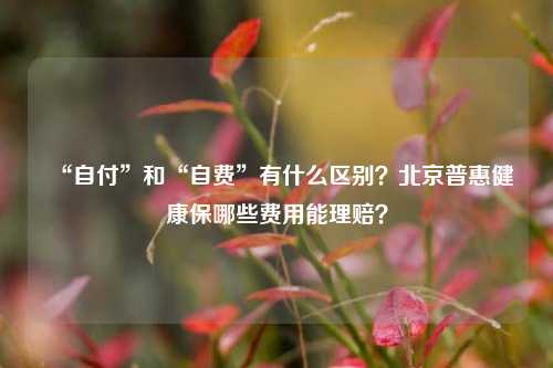 “自付”和“自费”有什么区别？北京普惠健康保哪些费用能理赔？