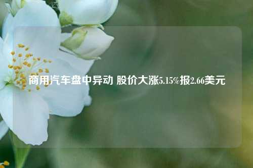 商用汽车盘中异动 股价大涨5.15%报2.66美元