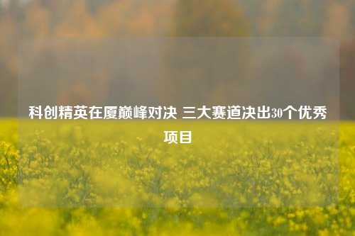 科创精英在厦巅峰对决 三大赛道决出30个优秀项目