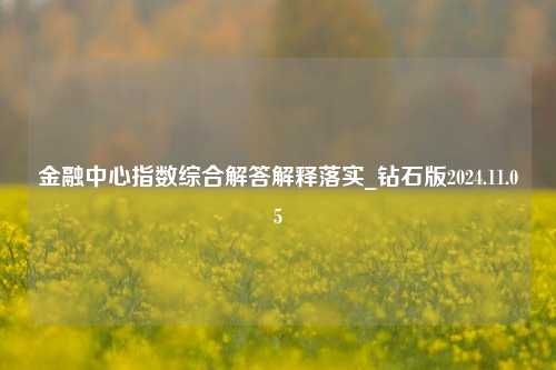 金融中心指数综合解答解释落实_钻石版2024.11.05