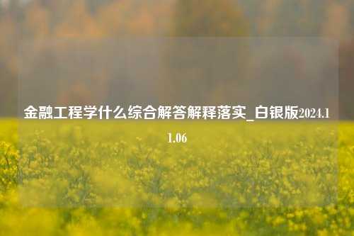 金融工程学什么综合解答解释落实_白银版2024.11.06