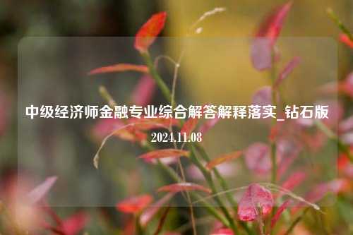 中级经济师金融专业综合解答解释落实_钻石版2024.11.08