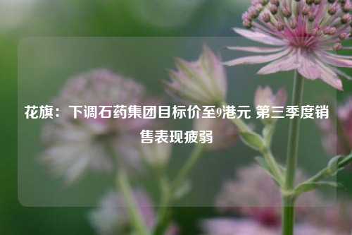 花旗：下调石药集团目标价至9港元 第三季度销售表现疲弱