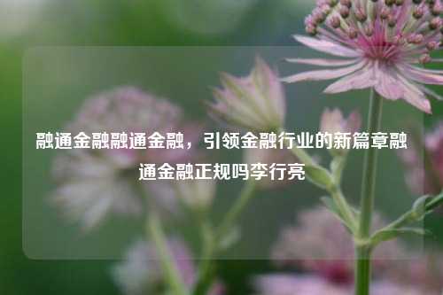 融通金融融通金融，引领金融行业的新篇章融通金融正规吗李行亮