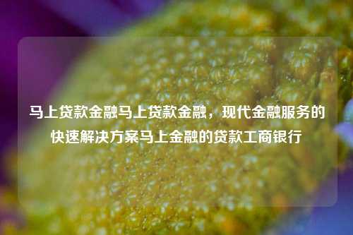 马上贷款金融马上贷款金融，现代金融服务的快速解决方案马上金融的贷款工商银行