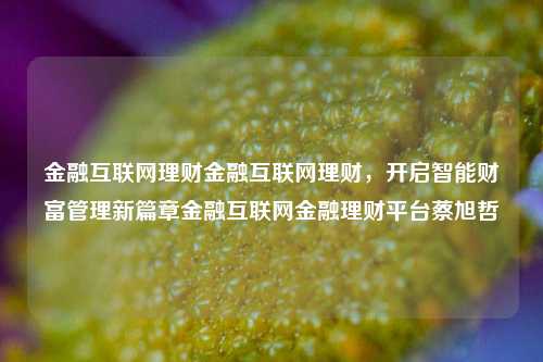 金融互联网理财金融互联网理财，开启智能财富管理新篇章金融互联网金融理财平台蔡旭哲