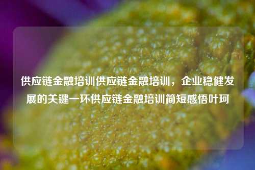 供应链金融培训供应链金融培训，企业稳健发展的关键一环供应链金融培训简短感悟叶珂