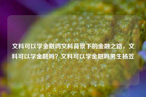 文科背景下的金融之路