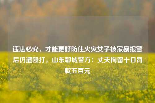 违法必究，才能更好防住火灾女子被家暴报警后仍遭殴打，山东郓城警方：丈夫拘留十日罚款五百元