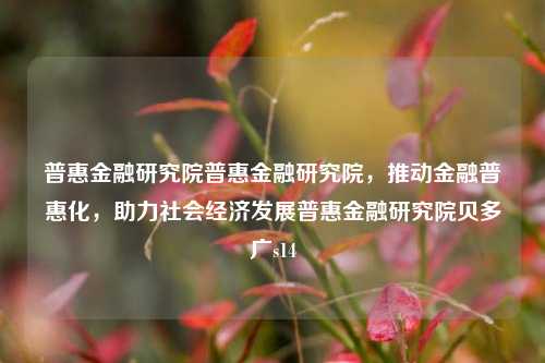 普惠金融研究院普惠金融研究院，推动金融普惠化，助力社会经济发展普惠金融研究院贝多广s14