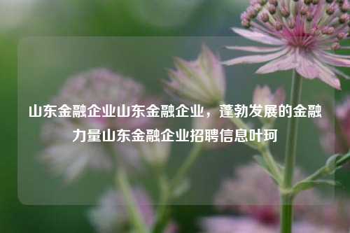 山东金融企业山东金融企业，蓬勃发展的金融力量山东金融企业招聘信息叶珂