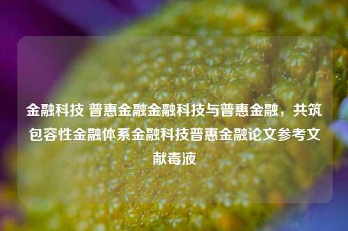 金融科技 普惠金融金融科技与普惠金融，共筑包容性金融体系金融科技普惠金融论文参考文献毒液