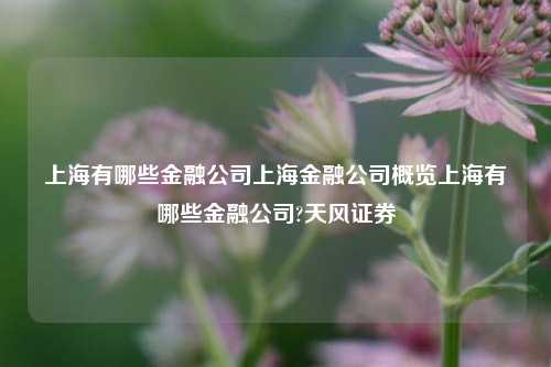 上海有哪些金融公司上海金融公司概览上海有哪些金融公司?天风证券