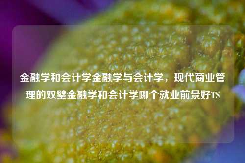 金融学和会计学金融学与会计学，现代商业管理的双璧金融学和会计学哪个就业前景好TS