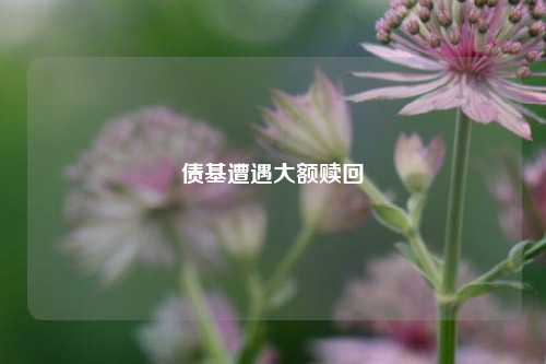 鹭岛热评 第73页