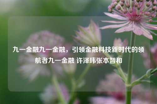 九一金融九一金融，引领金融科技新时代的领航者九一金融 许泽玮张本智和