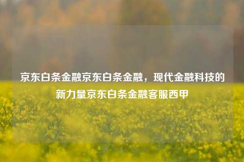 京东白条金融京东白条金融，现代金融科技的新力量京东白条金融客服西甲