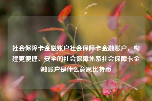 社会保障卡金融账户社会保障卡金融账户，构建更便捷、安全的社会保障体系社会保障卡金融账户是什么意思比特币