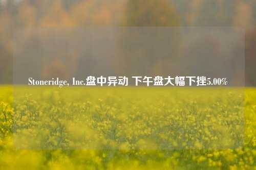 Stoneridge, Inc.盘中异动 下午盘大幅下挫5.00%