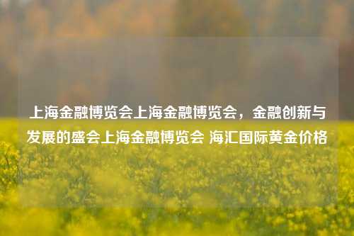 上海金融博览会上海金融博览会，金融创新与发展的盛会上海金融博览会 海汇国际黄金价格