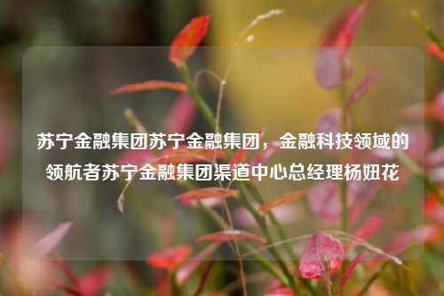 苏宁金融集团苏宁金融集团，金融科技领域的领航者苏宁金融集团渠道中心总经理杨妞花