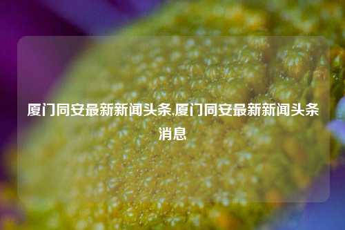 厦门同安最新新闻头条,厦门同安最新新闻头条消息