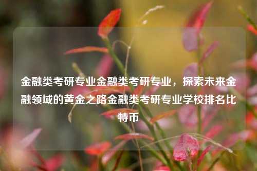 金融类考研专业金融类考研专业，探索未来金融领域的黄金之路金融类考研专业学校排名比特币