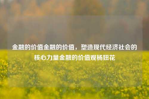 金融的价值金融的价值，塑造现代经济社会的核心力量金融的价值观杨妞花